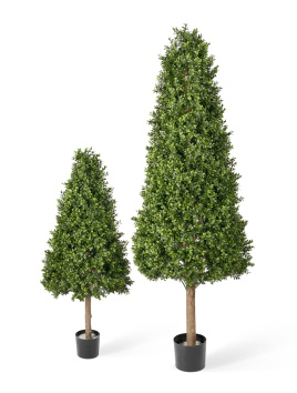 Самшиты Тауэр уличные новые