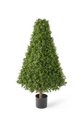 Самшит-пирамида уличный на каркасе