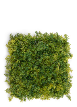 Мох Ягель зелёный микс (коврик)