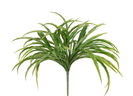 Трава Ванилла Грасс зелёная