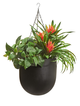 Сет № 10 - Композиция с гусманией в кашпо Treez Effectory Black Stone Чаша подвесная антрацит