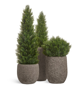 Сет № 25 - Композиция с Туями Брабант в кашпо Treez Effectory Terra