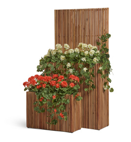 Сет № 67 - Композиция с Геранью в кашпо Treez Effectory Timberline