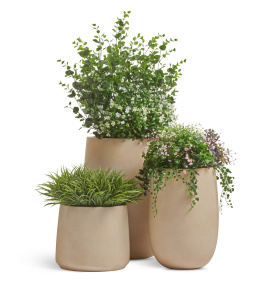 Сет № 85 - Композиция уличная цветущая в кашпо Treez Ergo Fine Rock