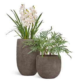 Сет № 129 - Композиция с орхидеей в кашпо Treez Effectory Terra