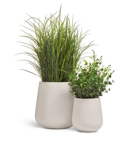 Сет № 154 - Композиция с тростником и эвкалиптом в кашпо Treez Ergo Fine Rock