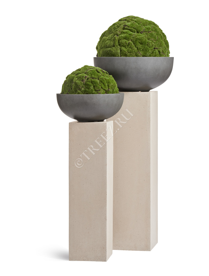 Шар из мха (Арт-объект) фото