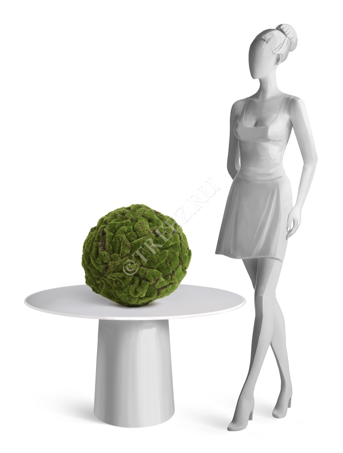 Шар из мха (Арт-объект) фото