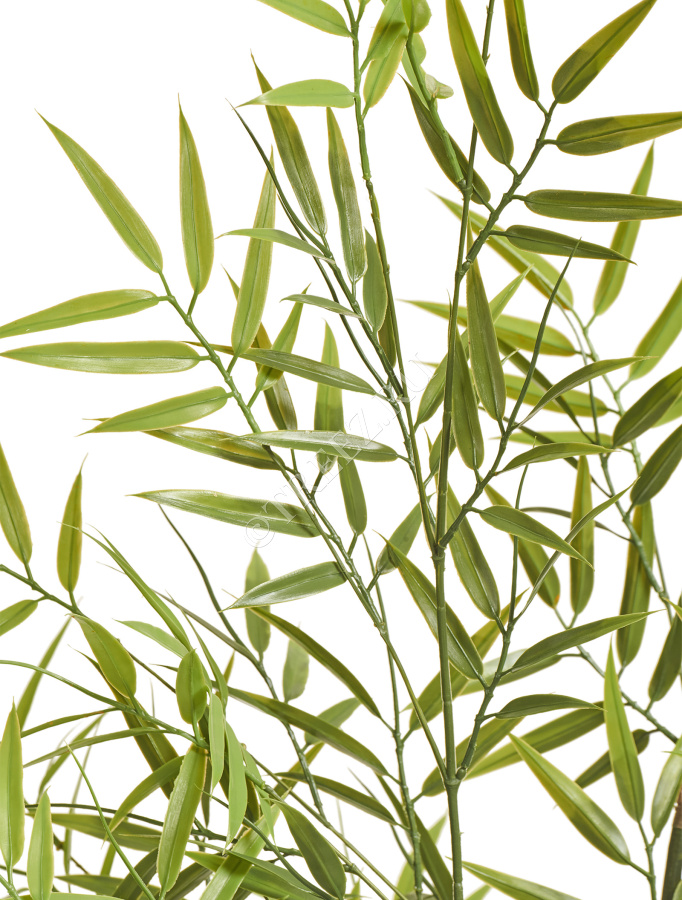 Бамбук японский Style (с UV-фильтром)  фото