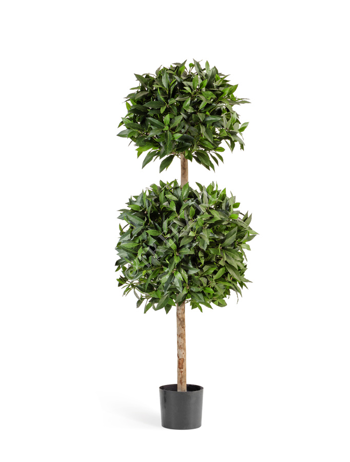 Лавр шар двойной де люкс в-125 см фото