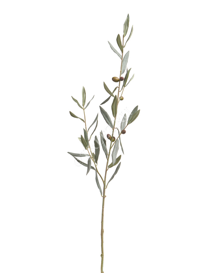 Ветвь оливы интерьерная с плодами (серия Prime) фото