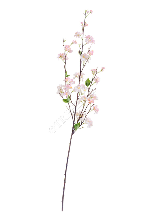 Ветка Сакуры нежно-розовая Дворец императора средняя фото