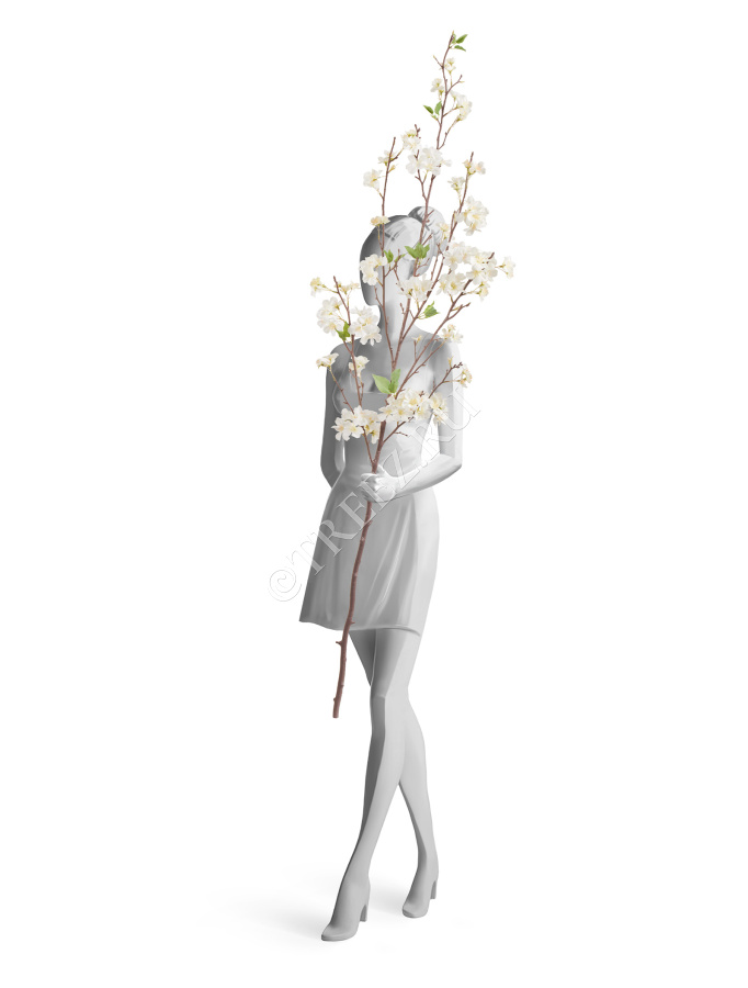 Ветка Сакуры белая Дворец императора большая фото