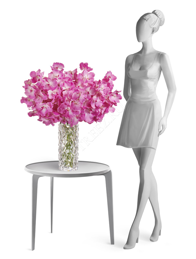 Орхидея Ванда с ярко-сиреневыми прожилками фото