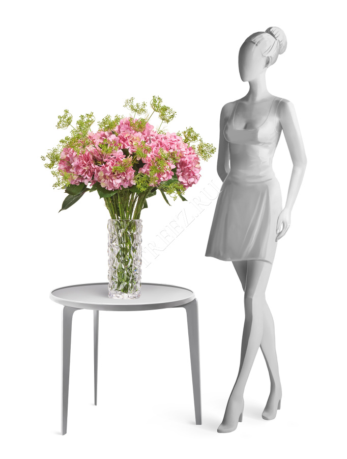 Анна Королевская ветвь светло-зелёная бутоны фото