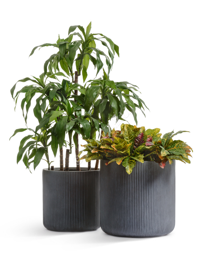 Кашпо TREEZ ERGO - Jet - Цилиндр - Дымчато-серый бетон фото