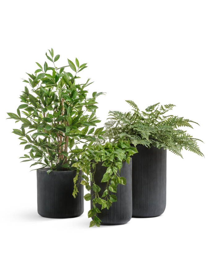 Кашпо TREEZ ERGO - Jet - Высокий цилиндр - Антрацит фото