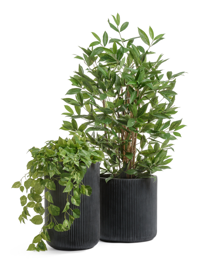 Кашпо TREEZ ERGO - Jet - Высокий цилиндр - Антрацит фото