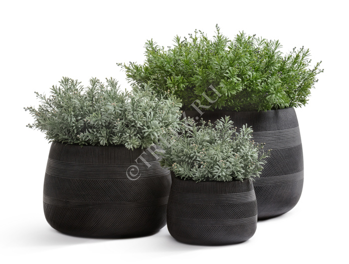 Кашпо TREEZ ERGO - Graphics - Низкая чаша - Чёрный графит фото