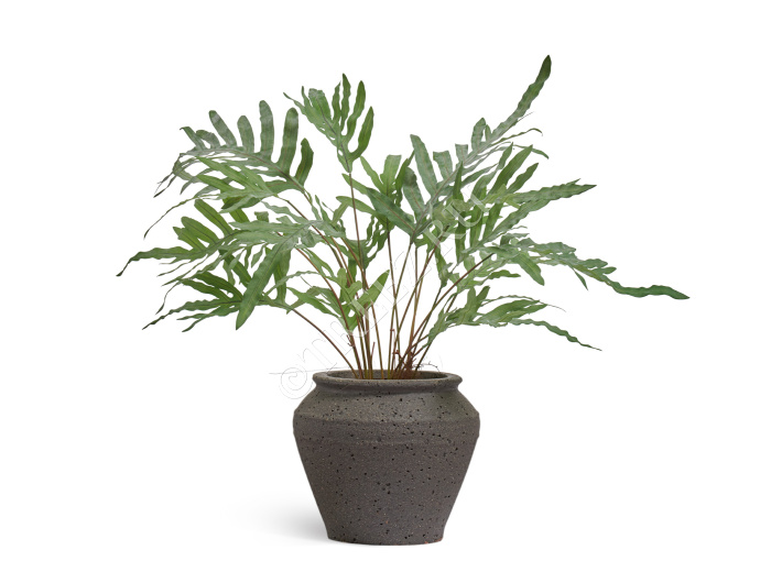 Кашпо TREEZ ERGO - Nero - Чаша-амфора - Чёрный туф фото