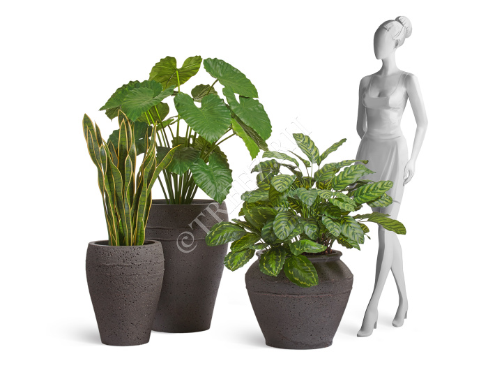 Кашпо TREEZ ERGO - Nero - Чаша-амфора - Чёрный туф фото