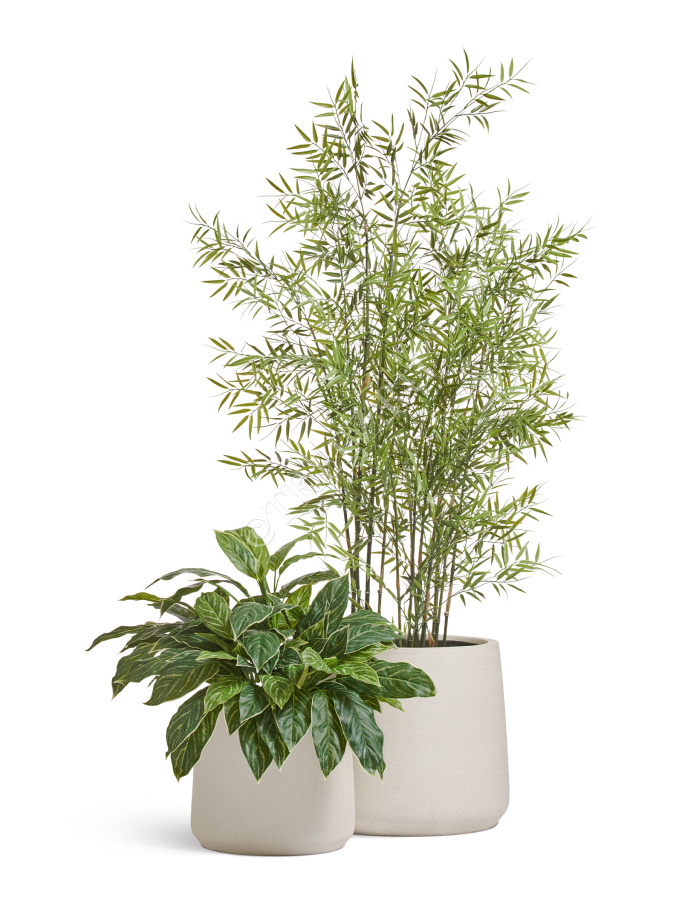 Кашпо TREEZ ERGO - Fine Rock - Чаша Cone - Белый камень фото