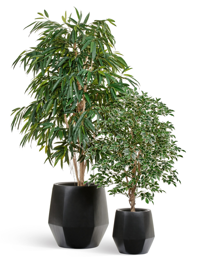 Кашпо TREEZ Effectory - Crystal - Многогранник - Антрацит фото