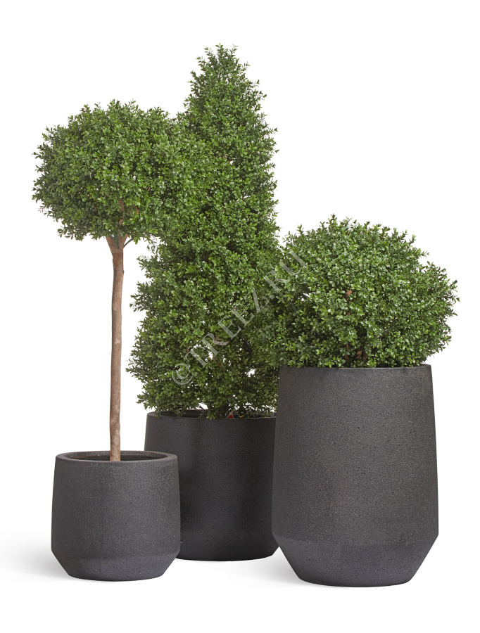 Кашпо TREEZ ERGO - Hard Rock - Высокая трапециевидная чаша - Чёрный песок фото