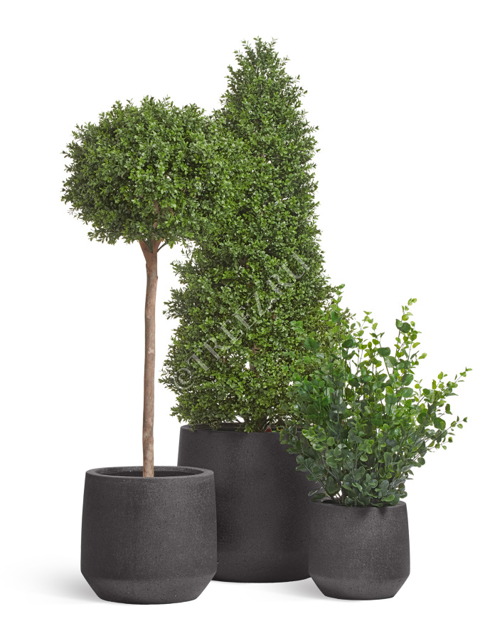 Кашпо TREEZ ERGO - Hard Rock - Трапециевидная чаша - Чёрный песок фото