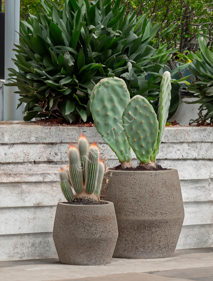 Кашпо TREEZ ERGO - Hard Rock - Ромбовидная чаша - Песок серый беж фото