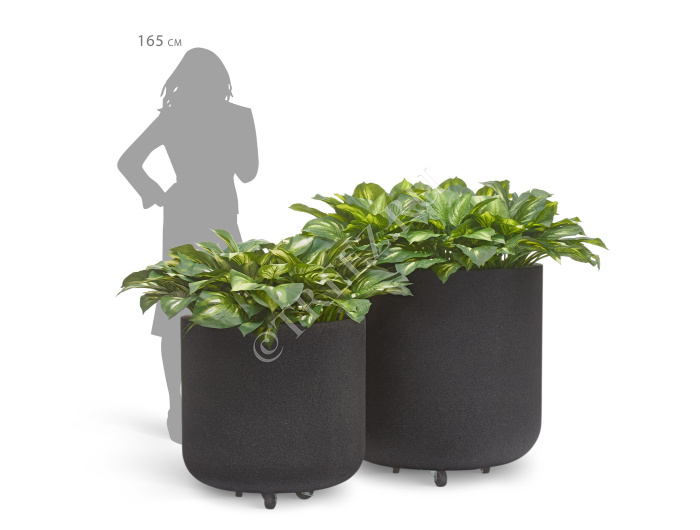 Кашпо TREEZ ERGO - Hard Rock - Цилиндрическая чаша на колёсиках - Чёрный песок фото