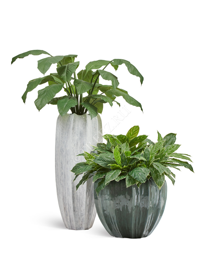 Кашпо TREEZ Effectory - Aura - Высокая Кашпо-ваза - Жемчужный лак фото