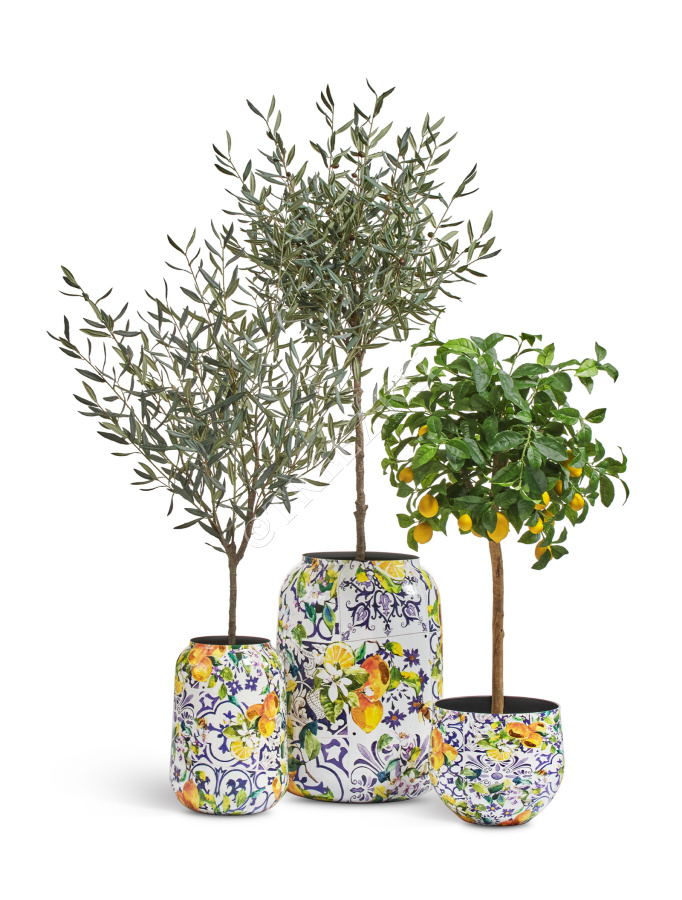 Кашпо TREEZ Effectory - Savage Garden - Design-ваза - Capri фото