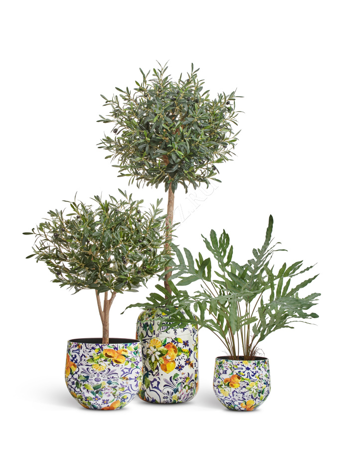 Кашпо TREEZ Effectory - Savage Garden - Чаша - Capri фото