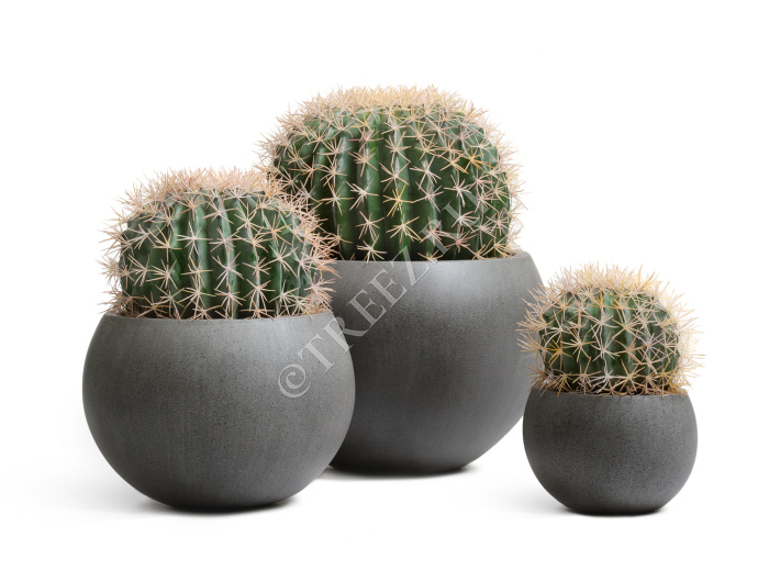 Кашпо TREEZ Effectory - Beton - Полусфера - Тёмно-серый бетон фото