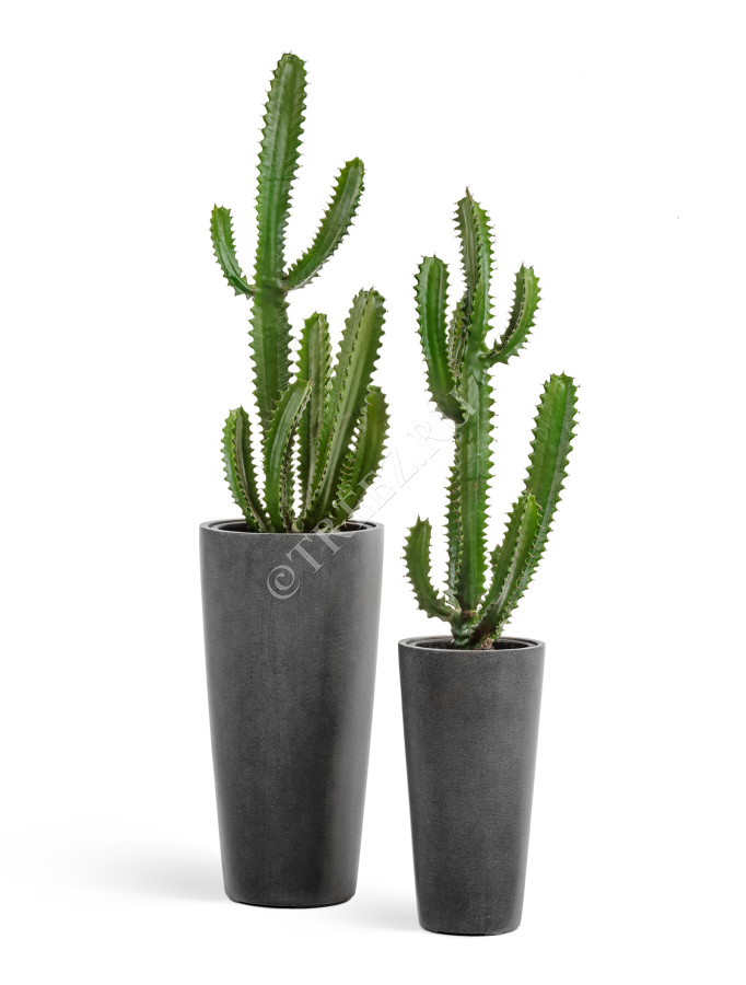 Кашпо TREEZ Effectory - Beton - Высокий конус - Тёмно-серый бетон фото