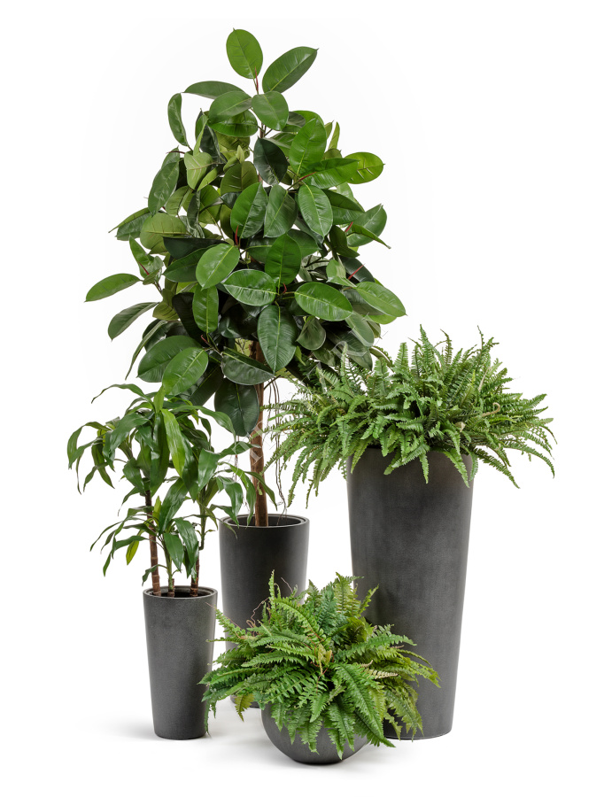 Кашпо TREEZ Effectory - Beton - Высокий конус - Тёмно-серый бетон фото