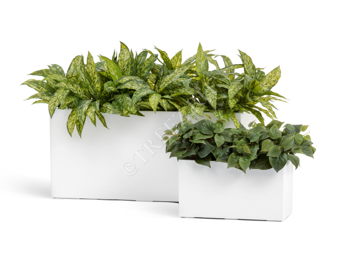 Кашпо TREEZ Effectory - Gloss - Низкий прямоугольник - Белый глянцевый лак фото