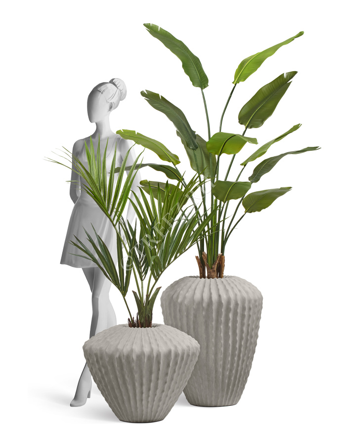 Сет № 31 - Композиция со Стрелицией и Пальмой Ховея в кашпо Treez Effectory Moho фото