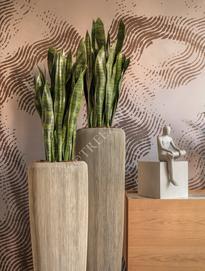 Сет № 42 - Композиция в кашпо Treez Effectory Wow Капучино фото