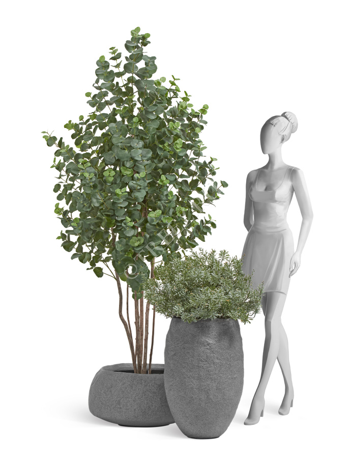 Сет № 59 - Композиция с Эвкалиптом и Кроссостефиумом Миллер в кашпо Treez Effectory Organic фото