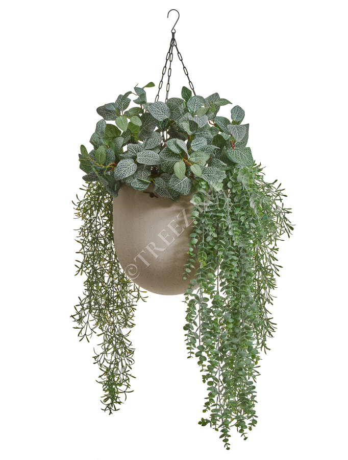 Сет № 89 - Композиция с фиттонией в подвесном кашпо Treez Effectory Beton фото