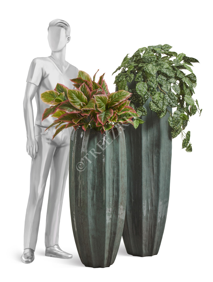 Сет № 108 - Композиция в высоких кашпо Treez Effectory Aura фото