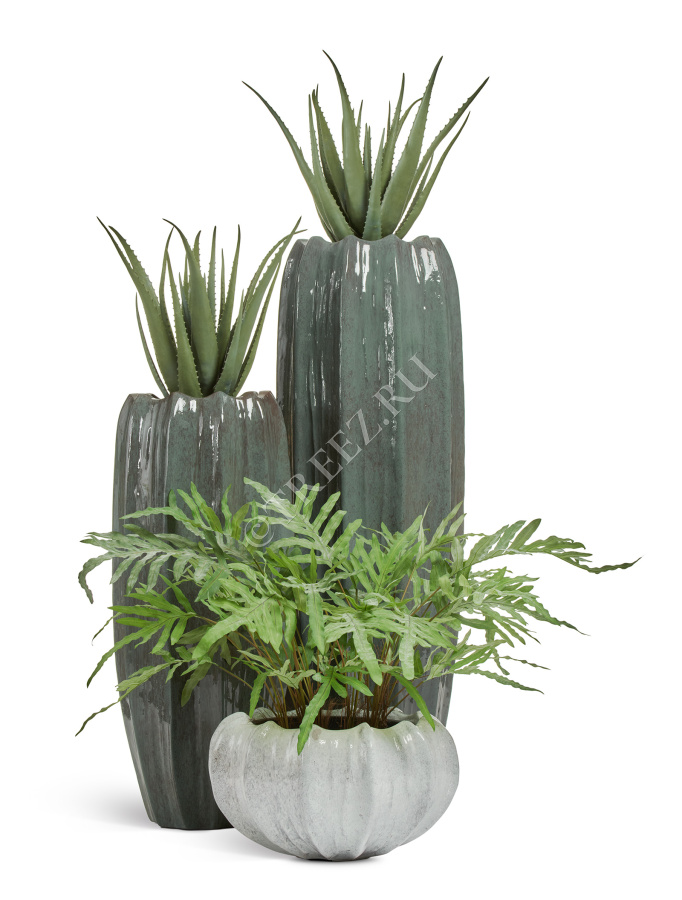 Сет № 124 - Композиция с алоэ и папоротником в кашпо Treez Effectory Aura фото