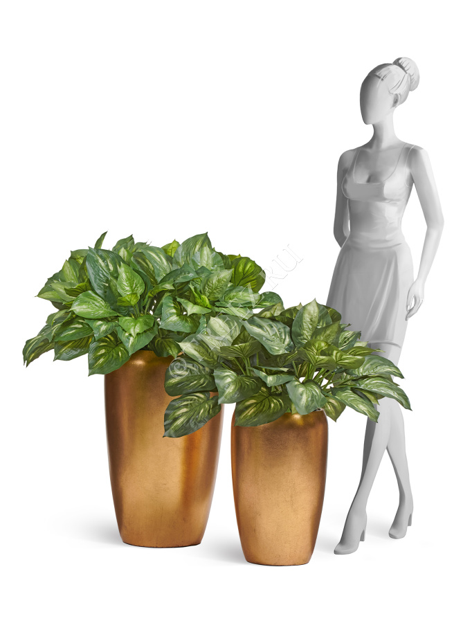 Сет № 126 - Композиция с хостами в золотых кашпо Treez Effectory MetalEffectory Metal фото