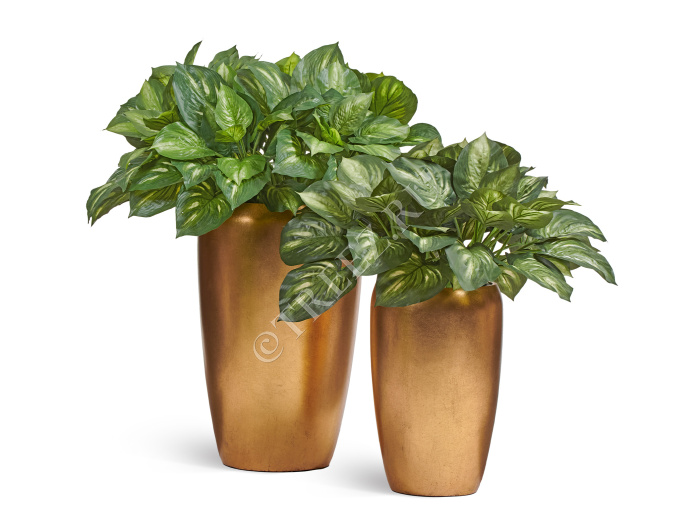 Сет № 126 - Композиция с хостами в золотых кашпо Treez Effectory MetalEffectory Metal фото