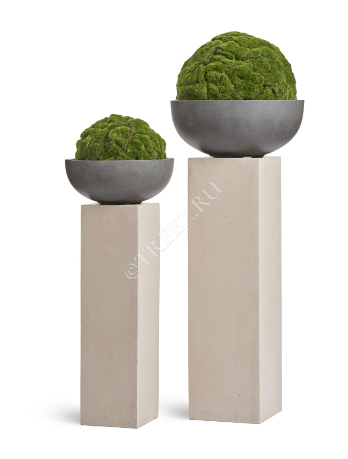Сет № 132 - Композиция на колоннах в кашпо Treez Effectory Beton фото