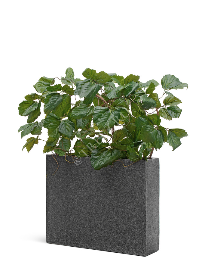 Сет № 133 - Композиция с тетрастигмой в кашпо Treez Effectory Stone фото