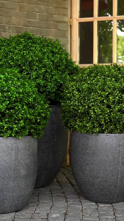 Кашпо TREEZ Effectory - Stone - Округлый конус - Тёмно-серый камень фото